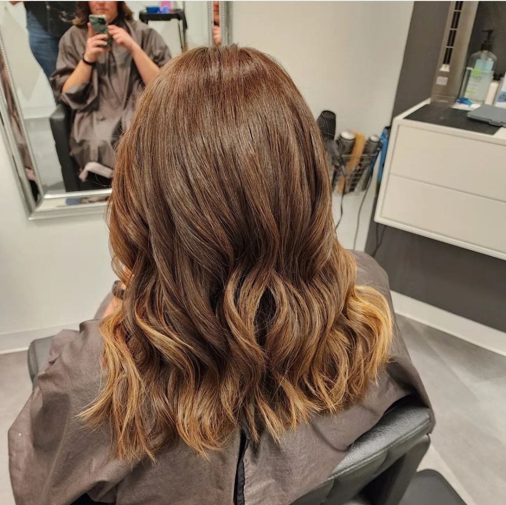 Root Touchup/Grey Root Coverage