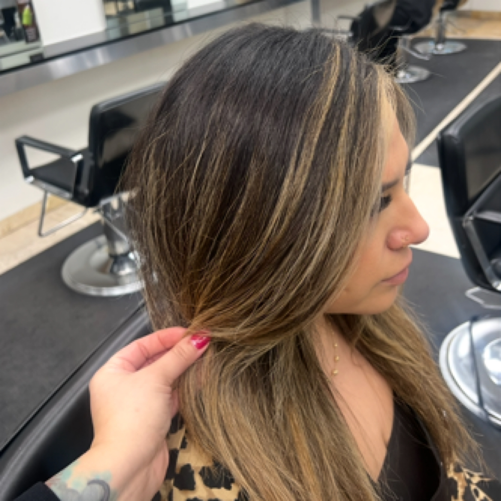 Root Retouch w/ Face Framing at Emily Does My Hair in Grayslake, IL