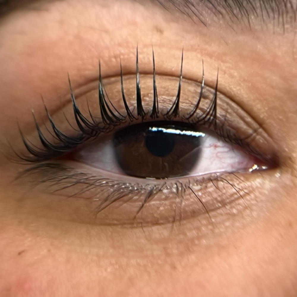 Korean Lash Lift & Tint at Moon Ivy Beauty in Warner Robins, GA