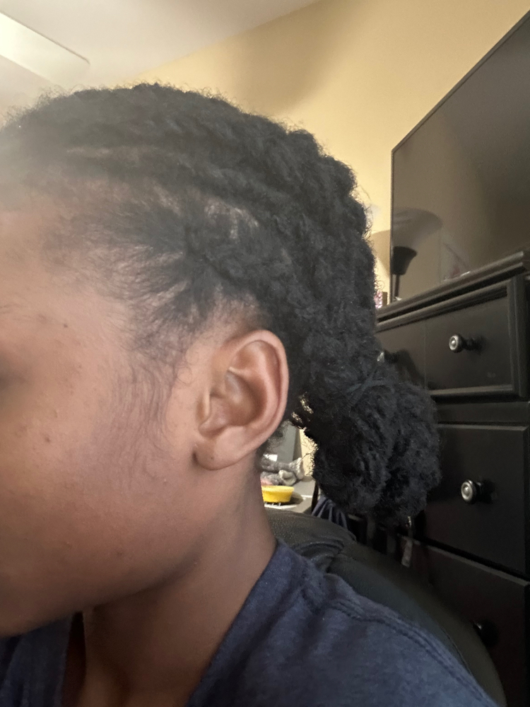 Cornrows/Fishtails/Braids at Loc’d in with Ariel in Olive Branch, MS