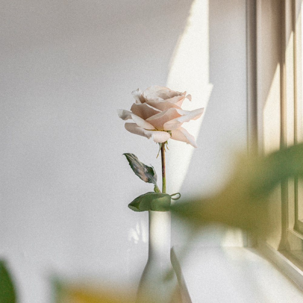 The Skin Edit at June Rose Skin Studio in Conshohocken, PA