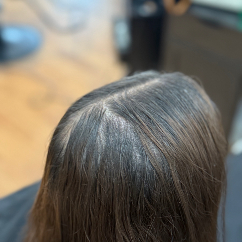 Root Touch Up at Zeta Mills in Lexington, SC