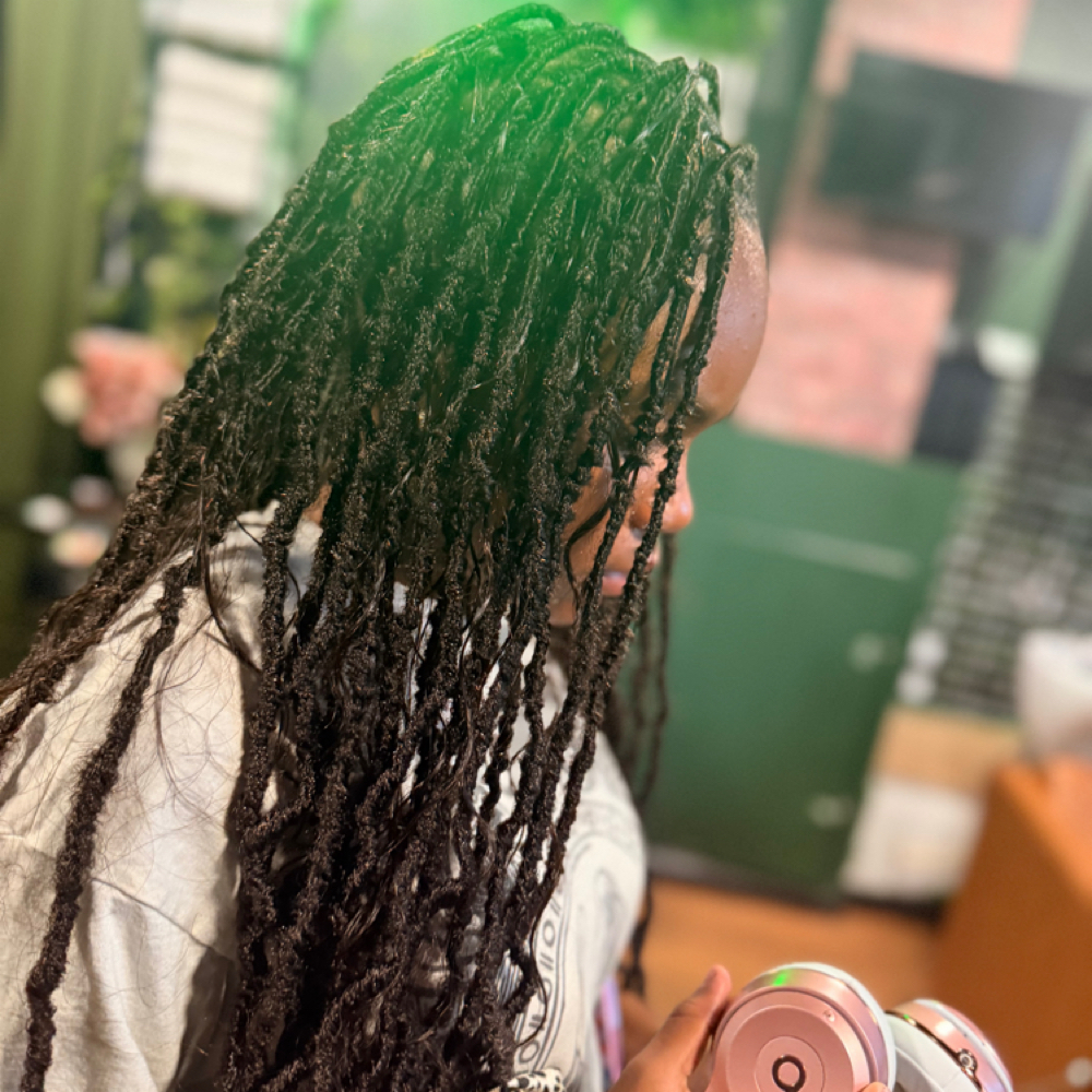 Faux Locs at By Kaila Nichelle Beauty Studio in Parkville, MD