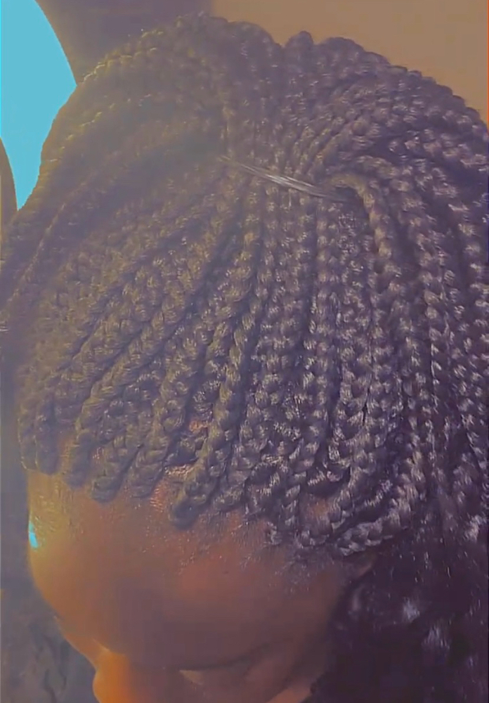 Box Braids