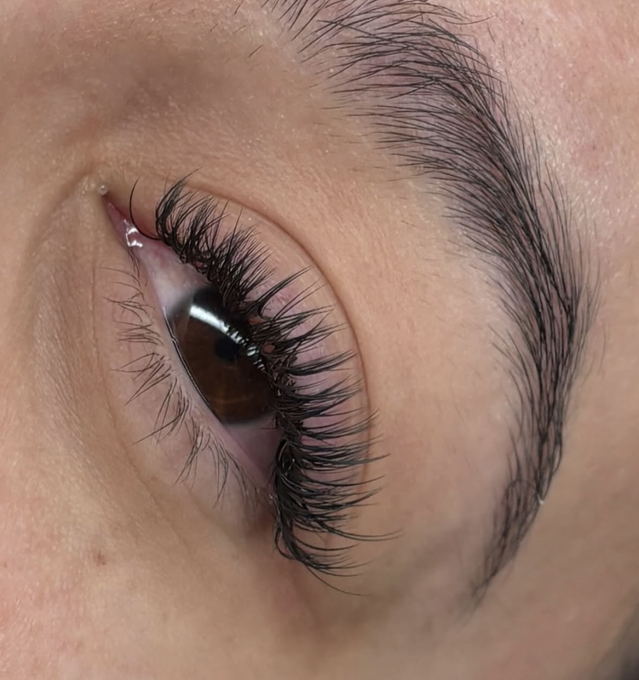 Natural Glam Lash Set
