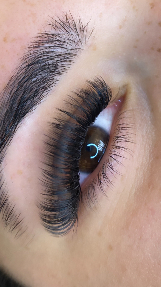 Lash Mega Volume/ Lashes Mega VL