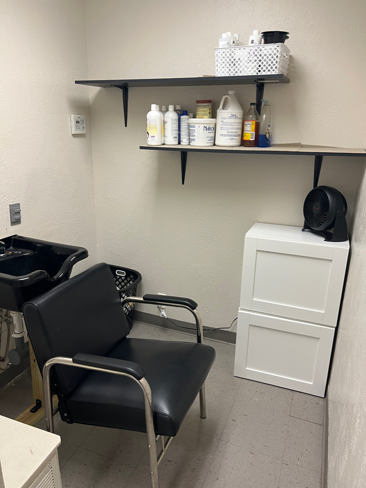 Boy's & Men's Regular Shampoo at MJ Hair Institute in Tyler, TX