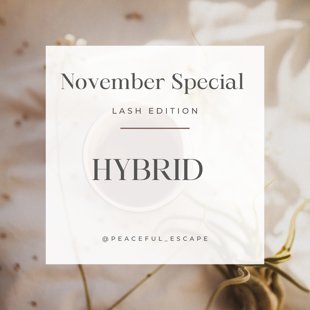 Nov Lash Special