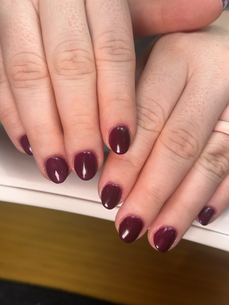 SOLID COLOR