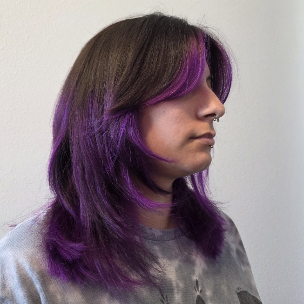 Add on ONLY - Haircut at Lavender Lane Salon in North Richland Hills, TX