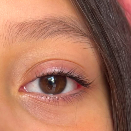 Lash lift + tint