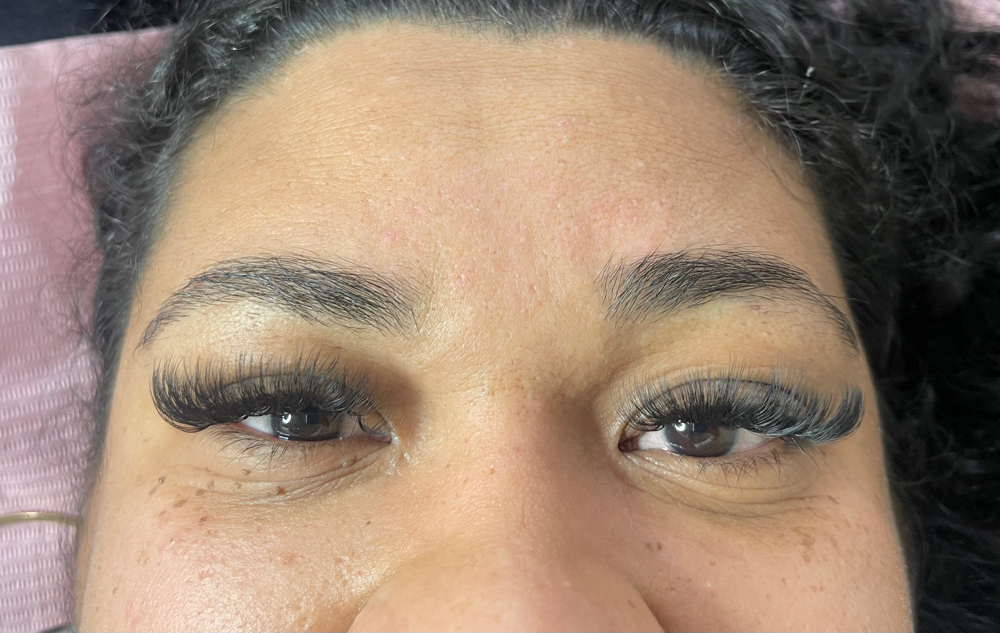 Volume Lashes