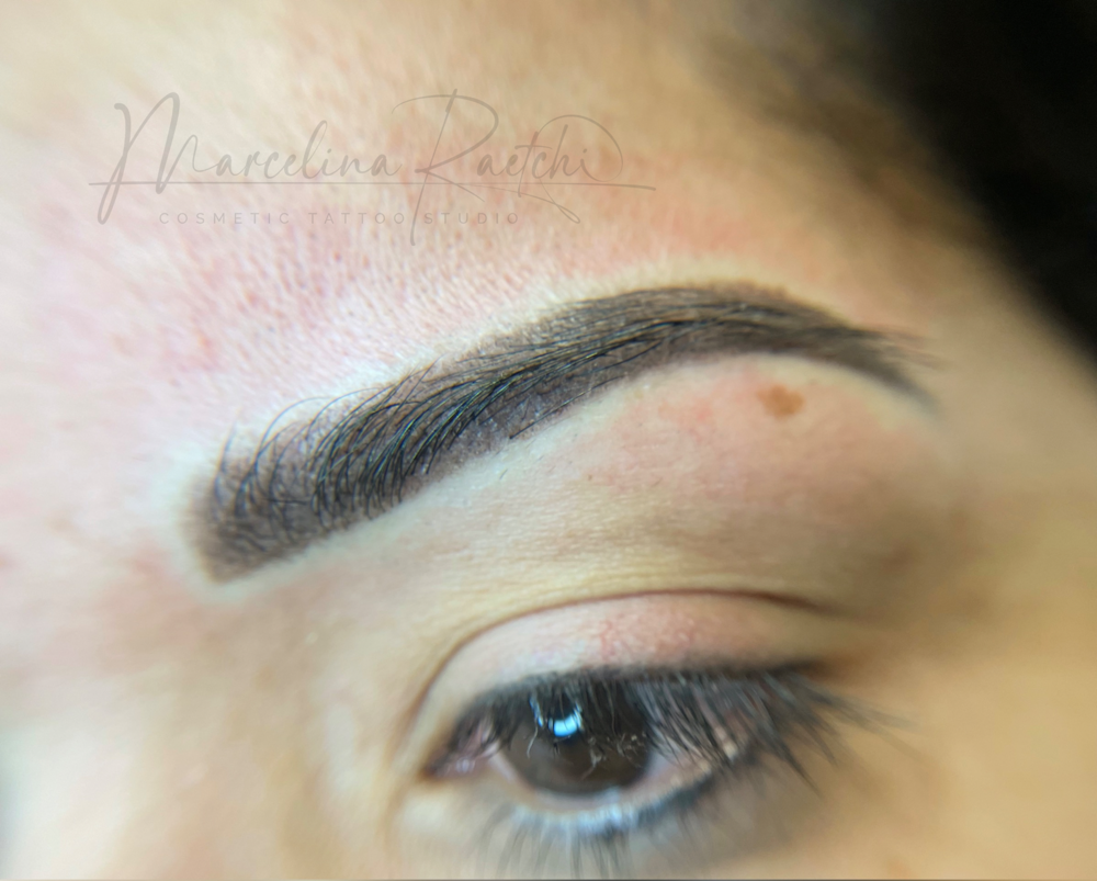 Powder Brows Touch Up 4-8 Weeks