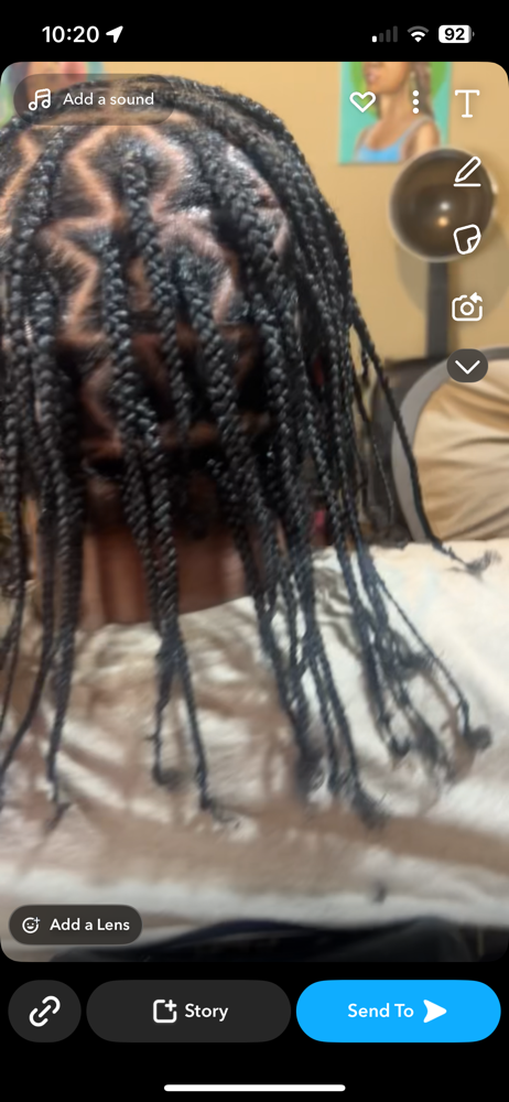 Natural hair Plaits (full head)