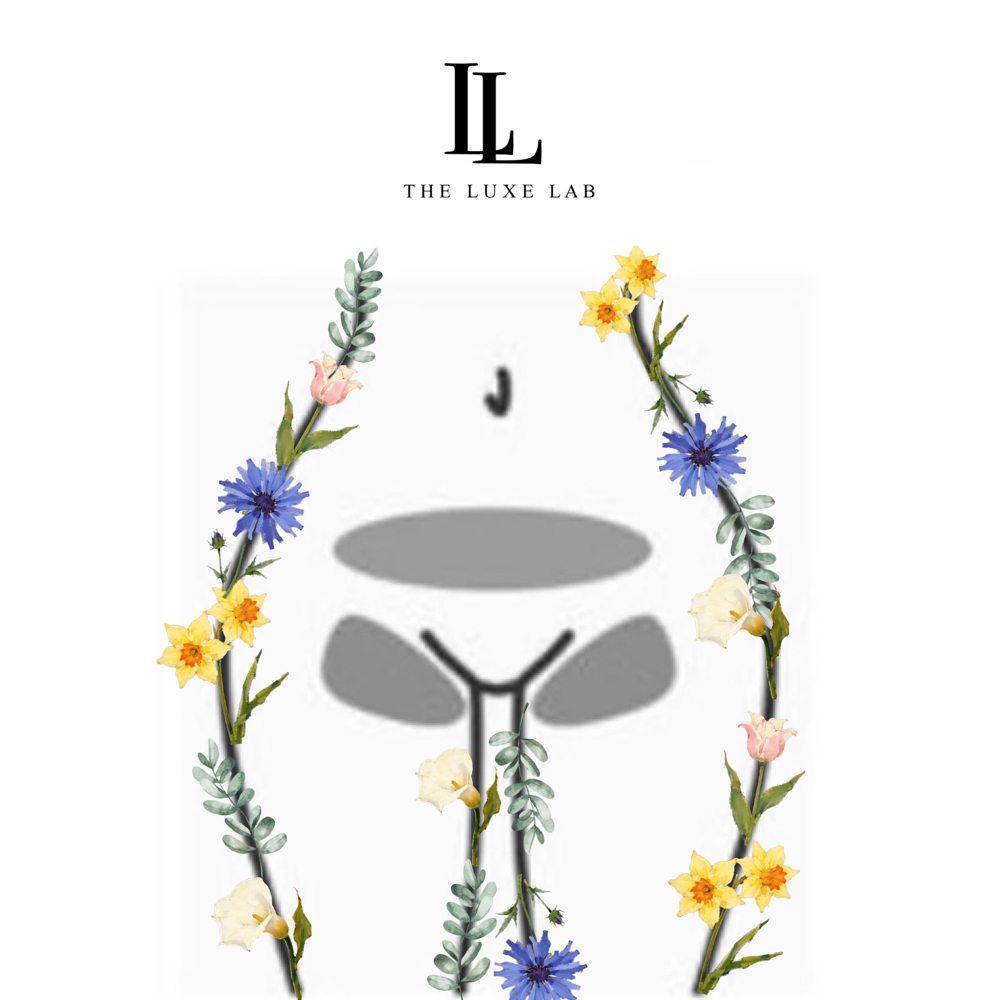 Bikini (Full) at The Luxe Lab in New Brunswick, NJ