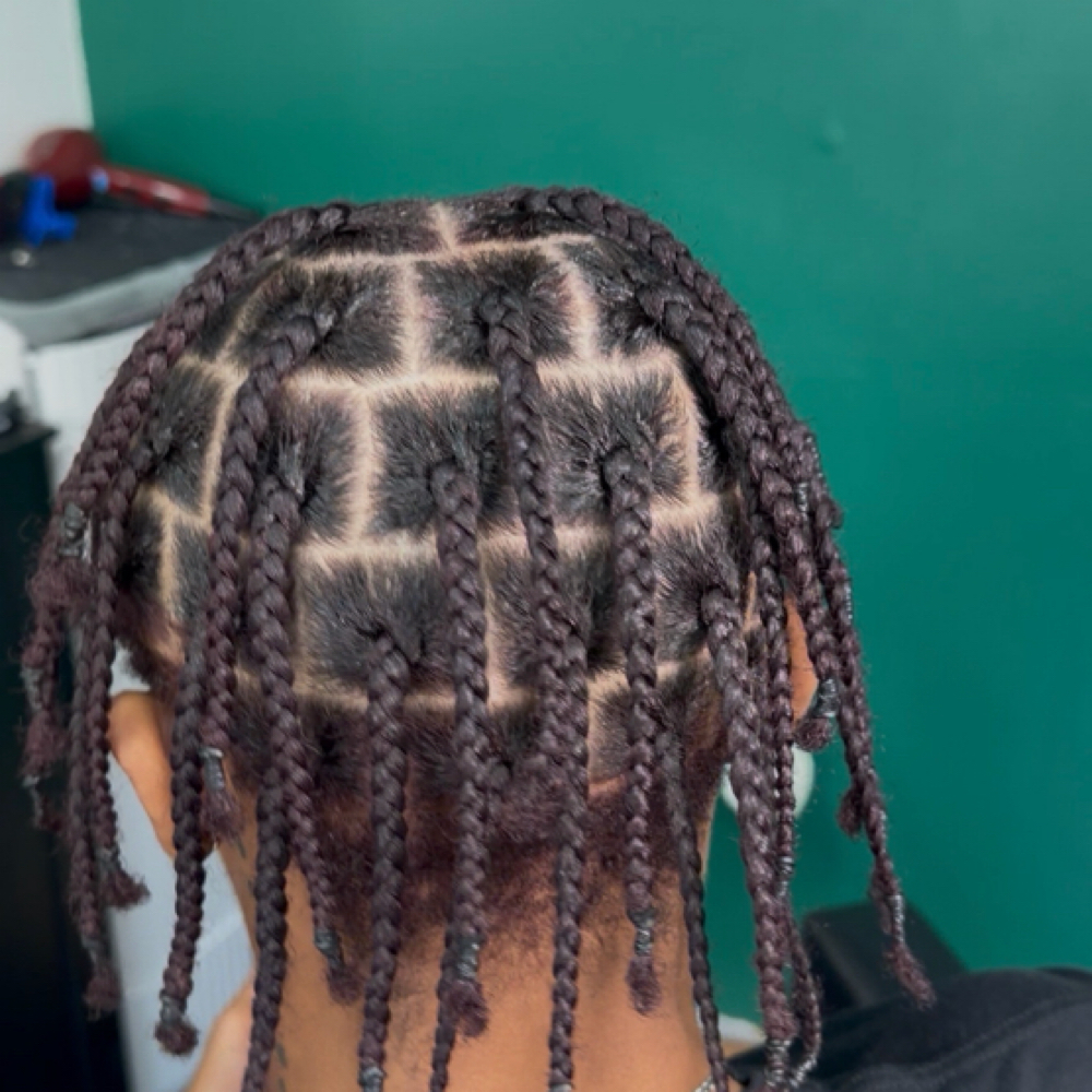 Natural Twist/Braids (Medium) at Flair Beauty SS in Houston, TX