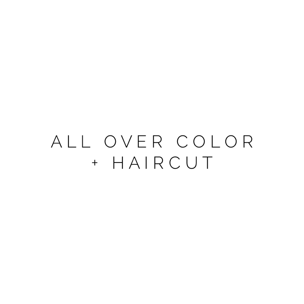 All Over Color + Haircut