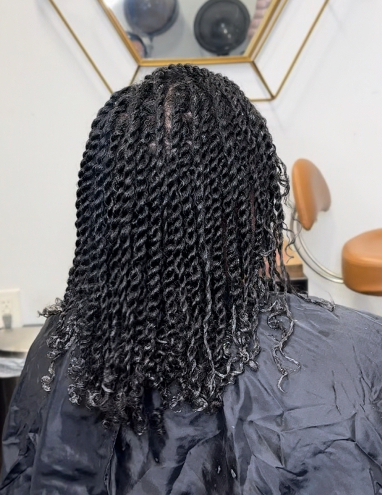 Two Strand Twist (wet Style)