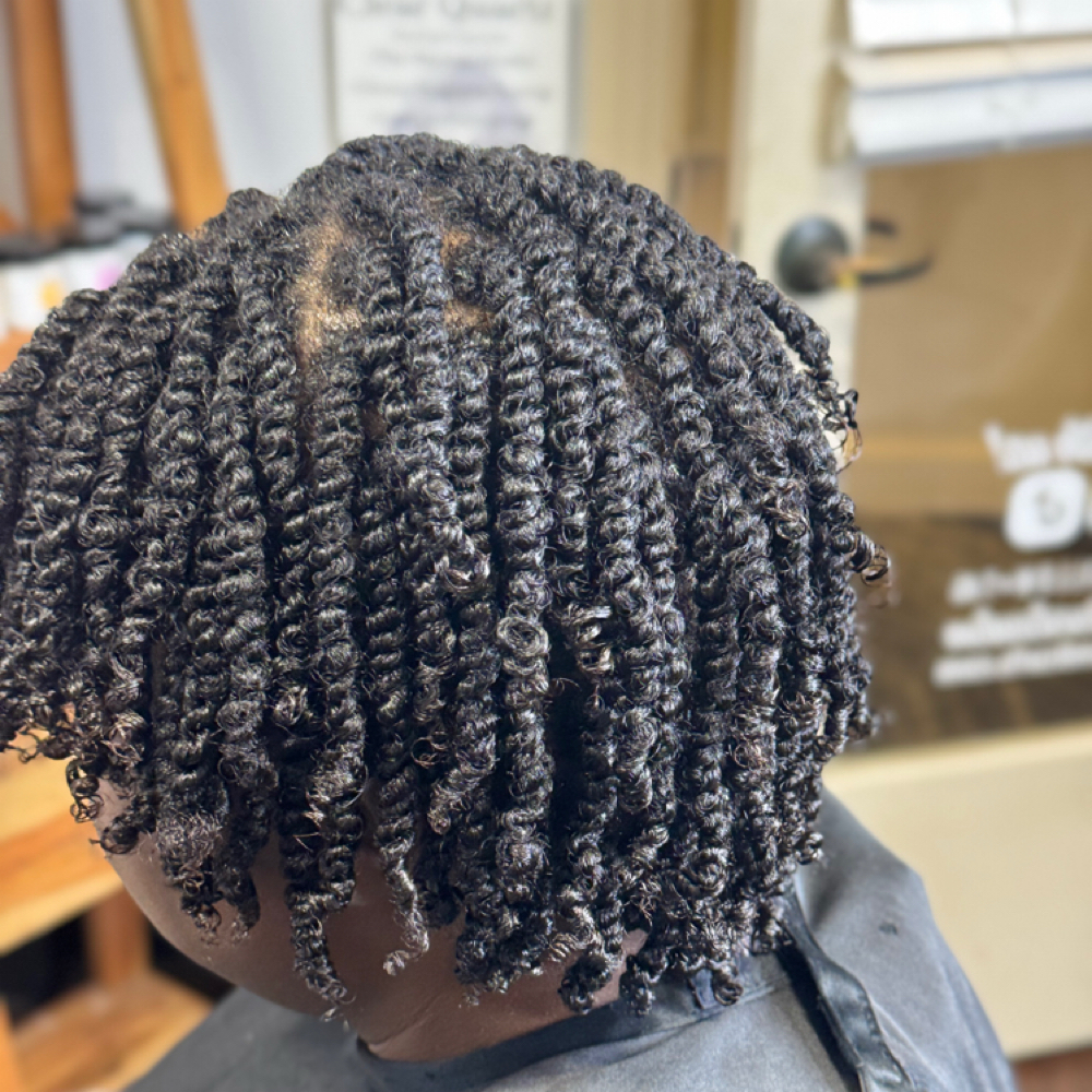 Two Strand Twist (Twist Out Option) at Crystals and Curls Natural Hair Studio in Peachtree Corners, GA
