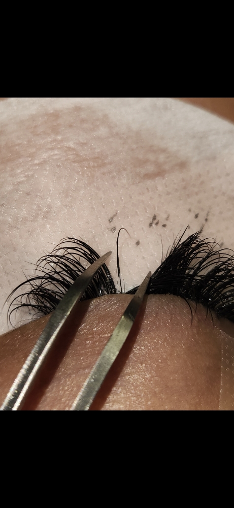 Classic Lash Extension Fill