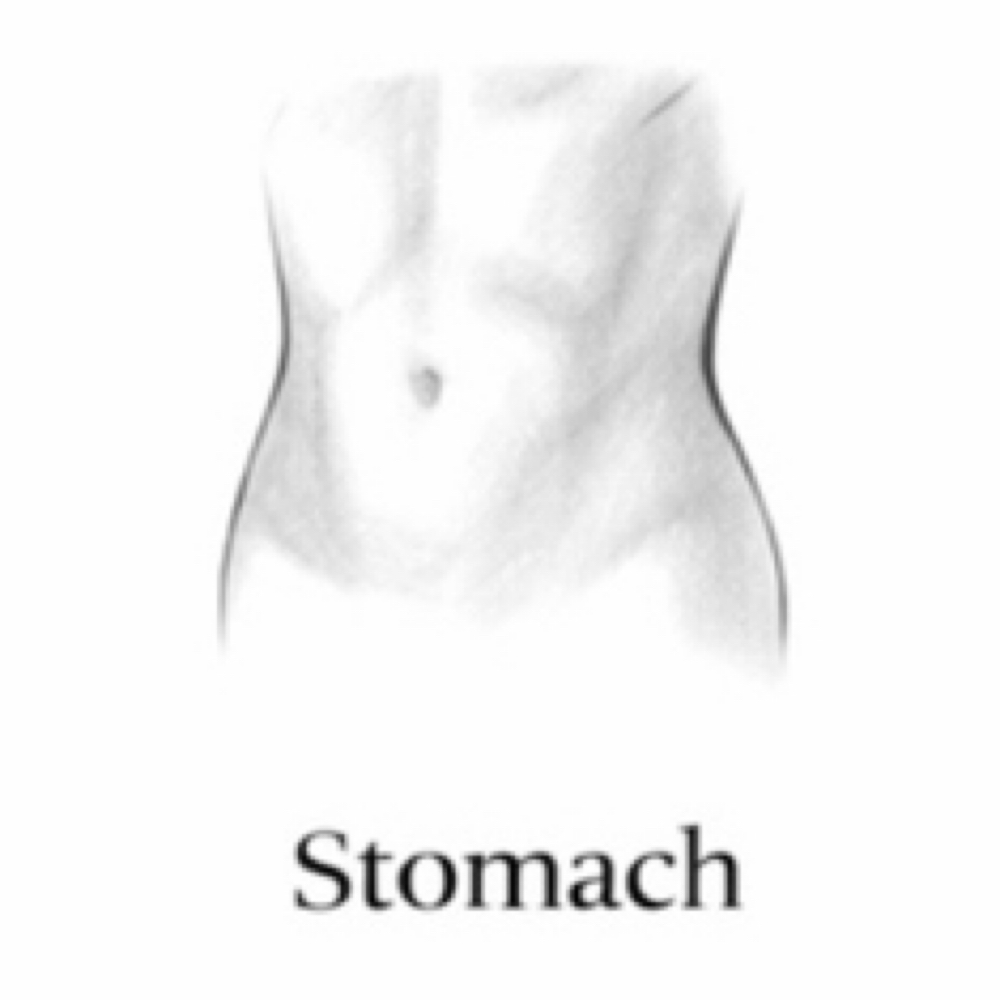 Stomach Strip at Waterbaby Wax Co. in Canyon Lake, CA