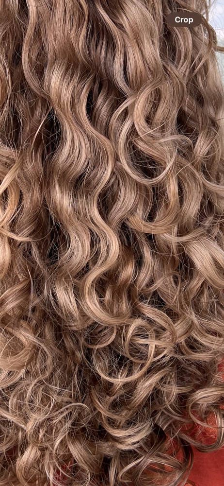 Curly Wash & Style (Return Clients)