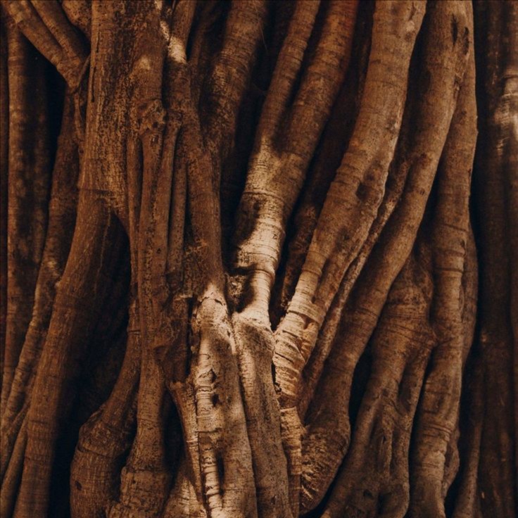 Deep Tissue • 90 Minute at Meraki Massage Therapy in Fort Collins, CO