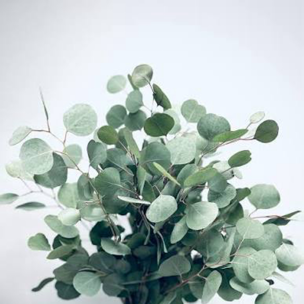 Eucalyptus Hot Towel Hand Massage at Peachy Queen Waxing Lounge in Aurora, CO