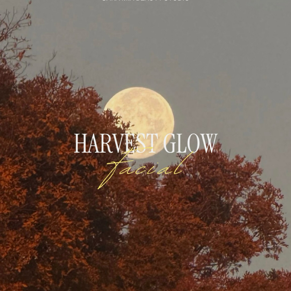 Harvest Glow Facial at Cara Mia Beauty Studio in Park Ridge, IL