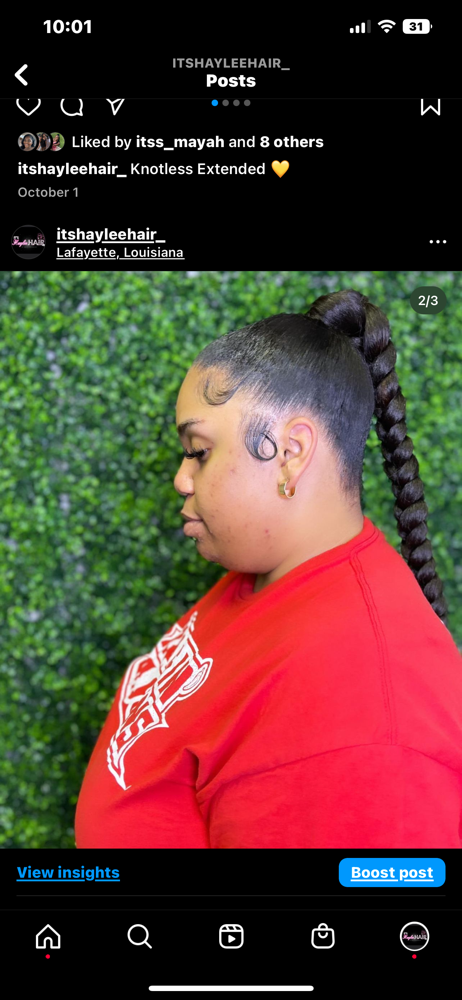 Braided Pony