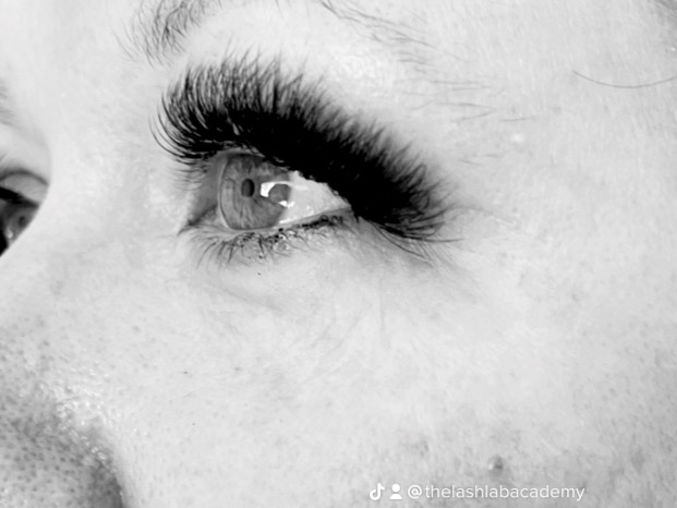 LASH Extensions-Light Mega Volume at The Lash Lab Academy in Hixson, TN