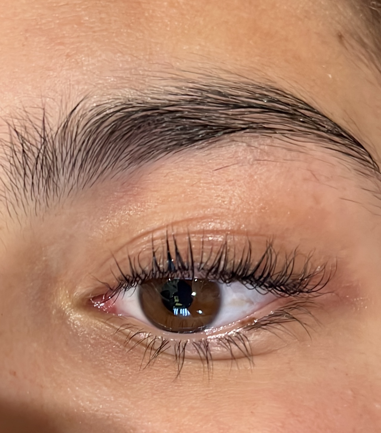 Eyelash Lift and Tint