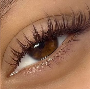 Brown Lashes (Classic Sets Only)