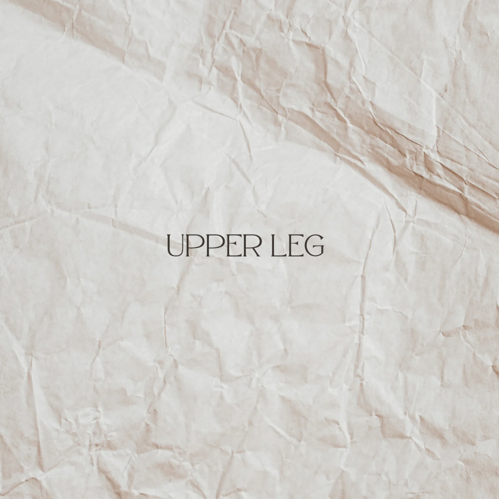 Upper Leg