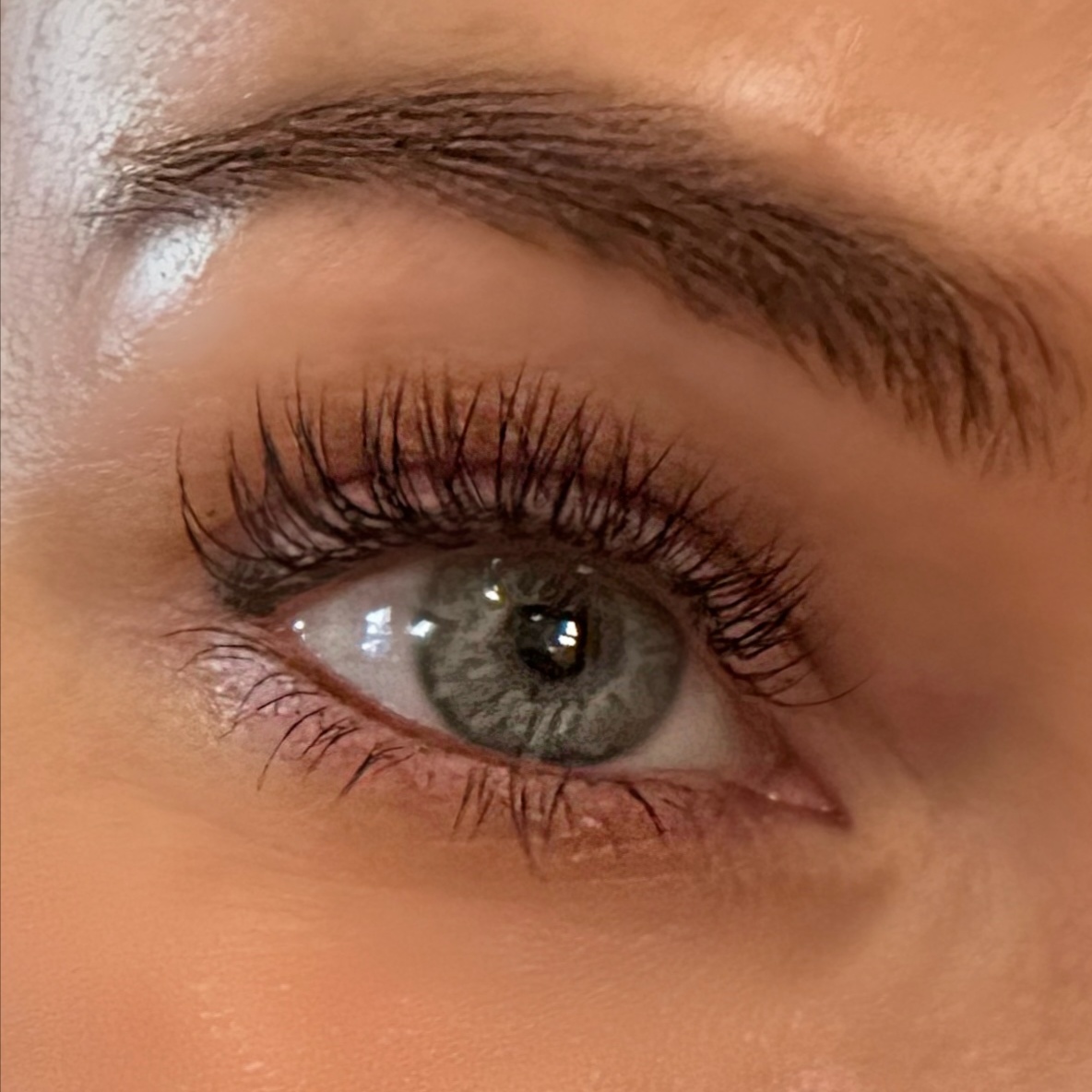Brow Tint at So In Love Lashes in San Diego, CA