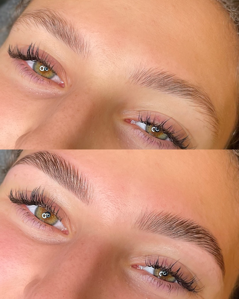 Brow Sculpt x Tint