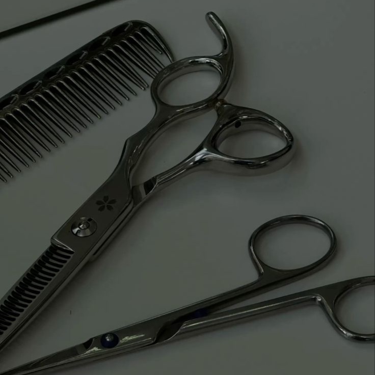 Cut (Add On Only) at Court Clair Hair in Lutz, FL