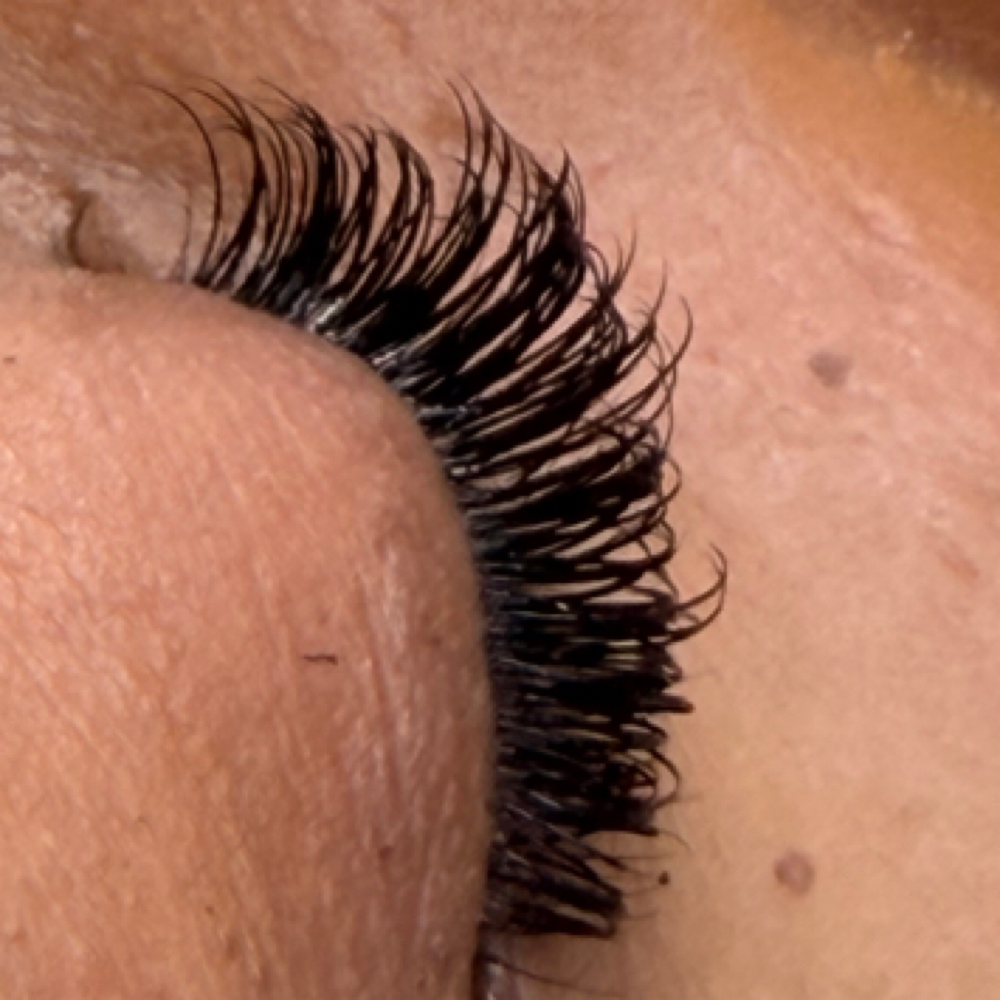 Natural Classic Fill In (Two Weeks) at Lash Out Lounge Eyelash Extensions + Lash Supplies Pearland, TX in Pearland, TX