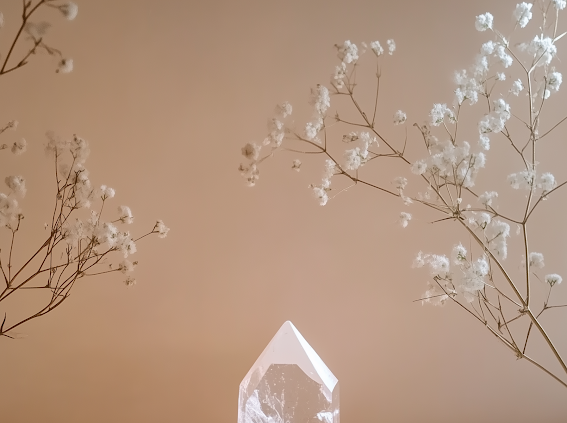 Precision Cut (no dry) at Eye Candy Hair Co. in Estero, FL