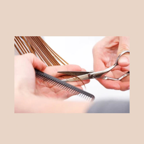 Women’s Haircut