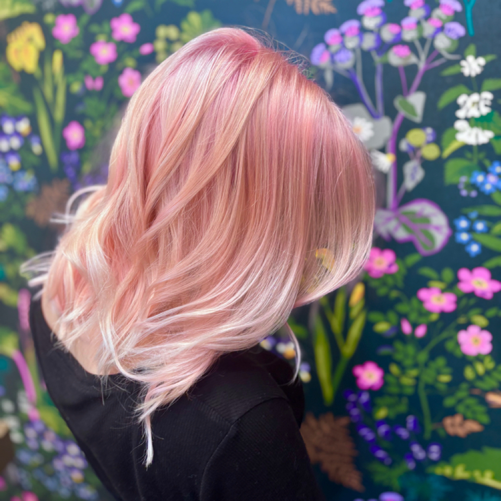 Studio Stylist: Creative Color at Halo + Hive Salon in San Diego, CA