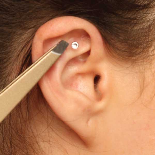 Initial Ear Seeding