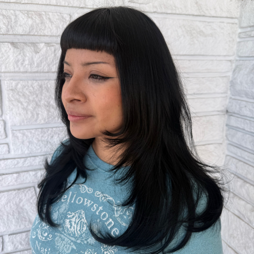 Root Touch Up at BusyScissorhands in Vista, CA