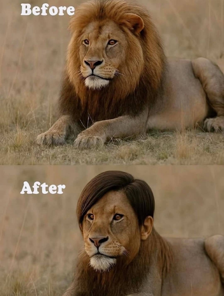 Keratin Express Blow Out