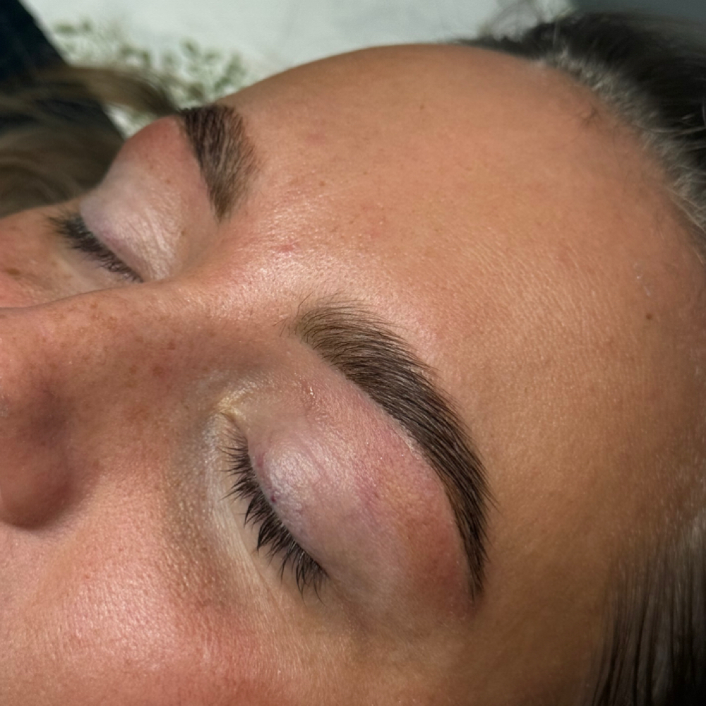 Brow Lamination & Tint (free wax) at The Skin Lounge in Lebanon, KY