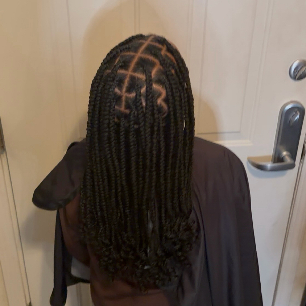 Medium Knotless Braids at TriumphStrands in GARDEN CITY, NY