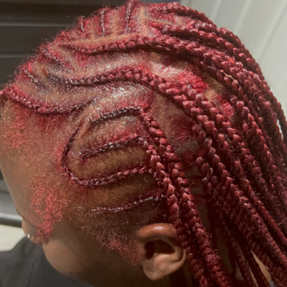 Small Fulani Knotless at Tamed by Tamika in Charleston, SC
