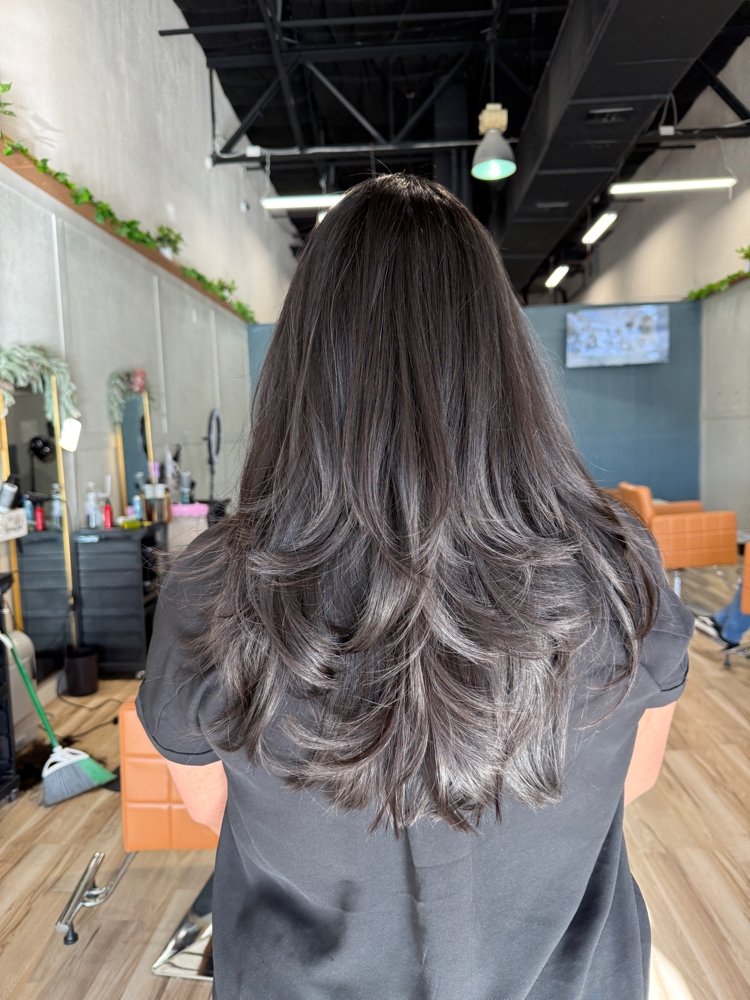 Haircut (full Service) at JV Hair Lounge in Castle Hills, TX