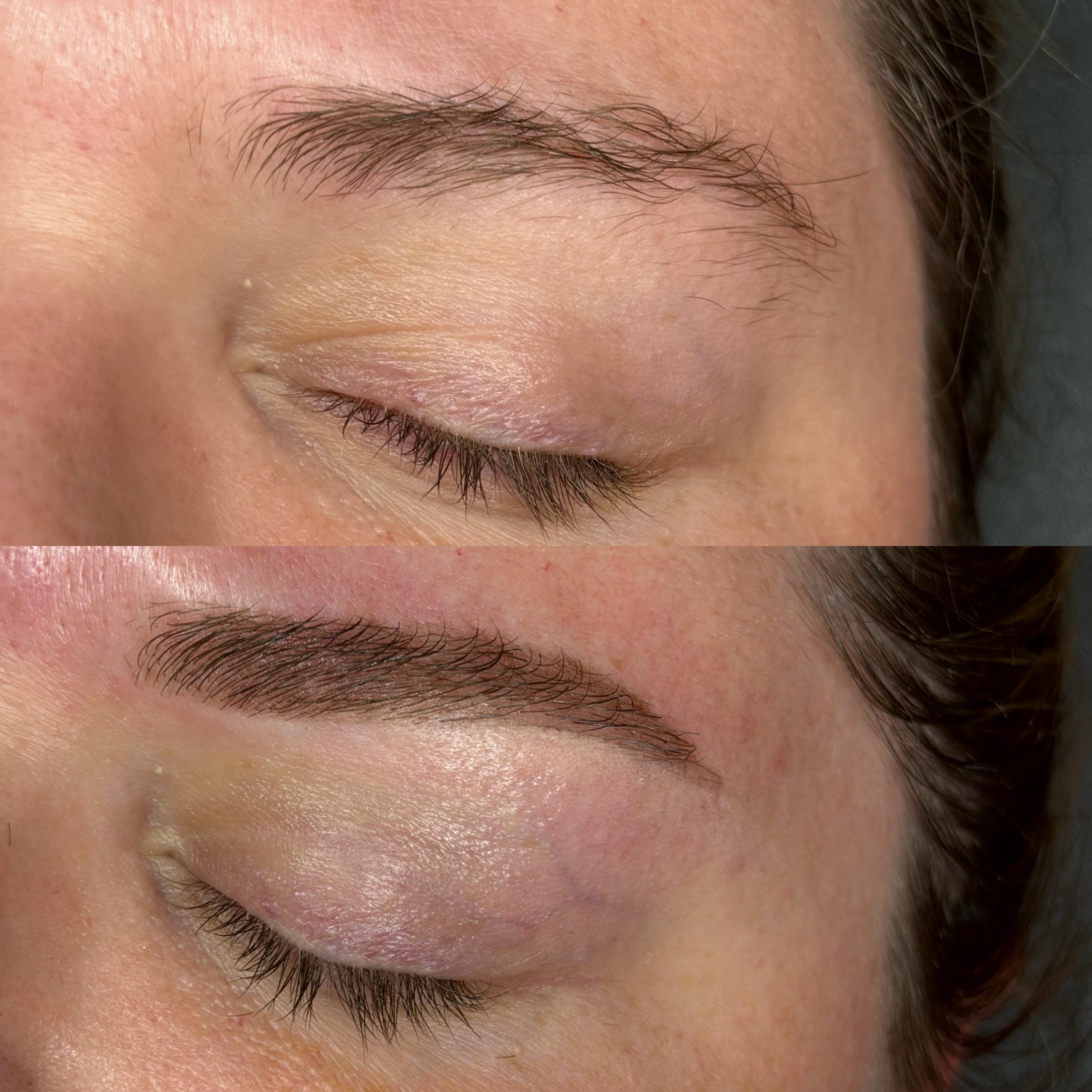 Hybrid/Brow Tint & Sculpt at Glo Co Beauty Studio in Manchester, NH