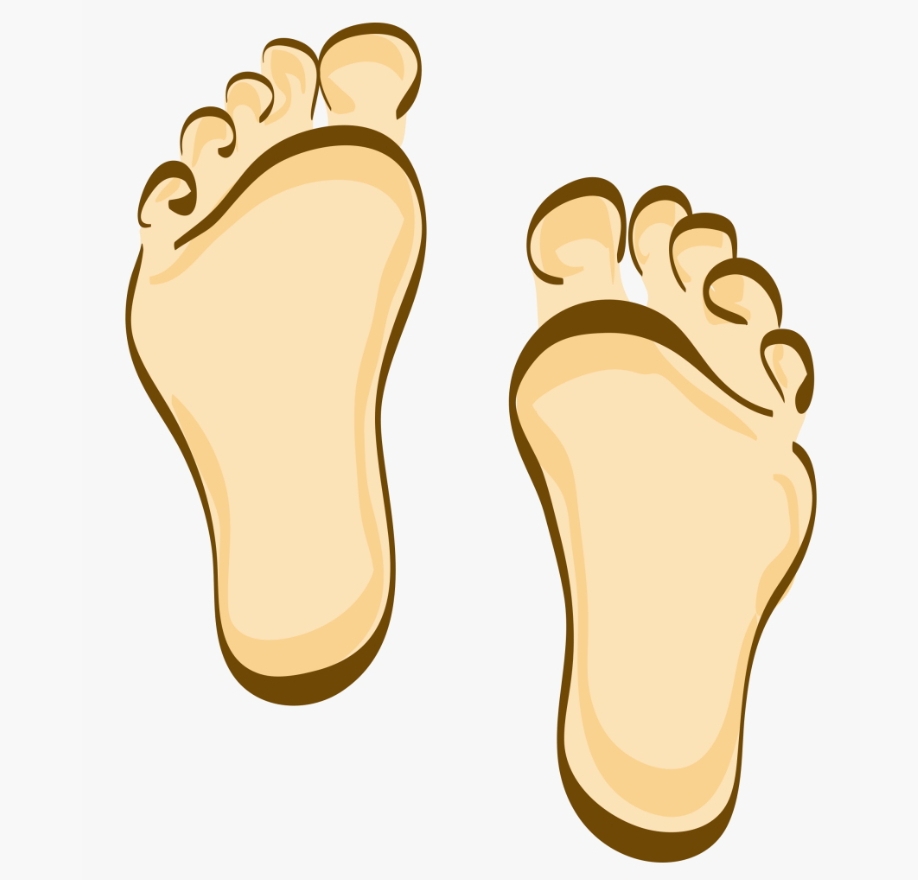 90 Min. Reflexology